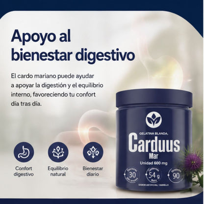 CARDO MARIANO + Envío GRATIS