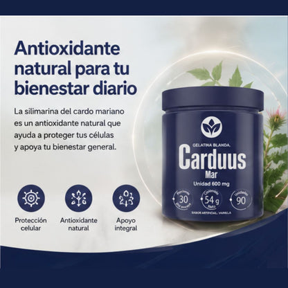 CARDO MARIANO + Envío GRATIS
