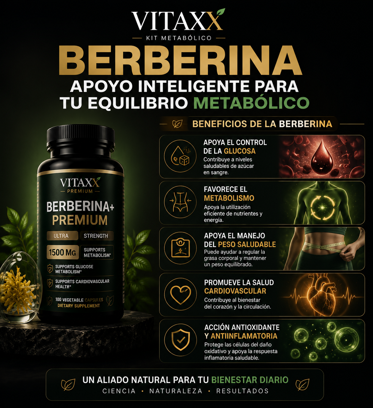 Kit Metabólico + Envío Gratis - Controla tus antojos y pierde grasa sin estar hambrienta